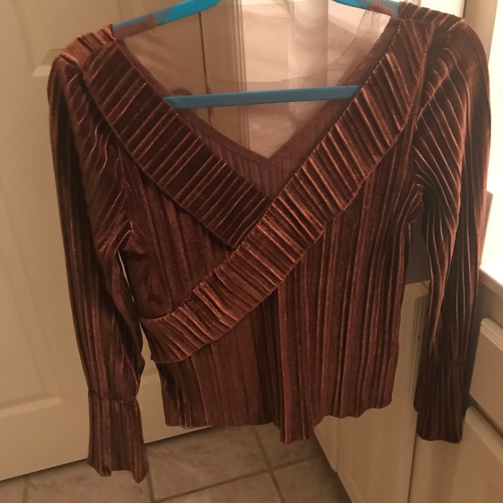 Velvet blouse small NWOT never worn
